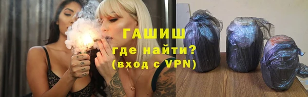 индика Корсаков