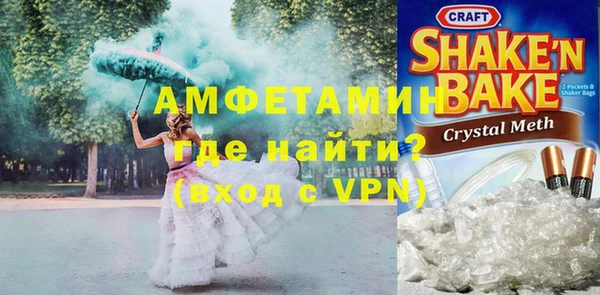 твердый Тайга