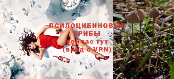 PSILOCYBIN Краснослободск