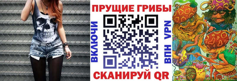 где продают наркотики  Туапсе  Галлюциногенные грибы ЛСД 